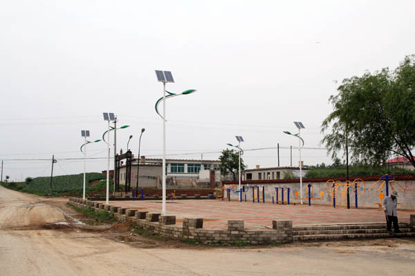 湖南太陽(yáng)能路燈最新案例